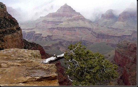 Τα απίστευτα ευρήματα του Grand Canyon στις ΗΠΑ - Φωτογραφία 10