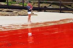 Η... ματωμένη θάλασσα! (pics+video)