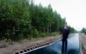 Απίθανο μονοπάτι-τραμπολίνο στο δάσος! - Φωτογραφία 1