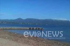 Ερέτρια: Μάλλον δεν θα δουν τα Χριστούγεννα!