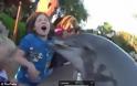 Η στιγμή που δελφίνι δαγκώνει το χέρι κοριτσιού - VIDEO