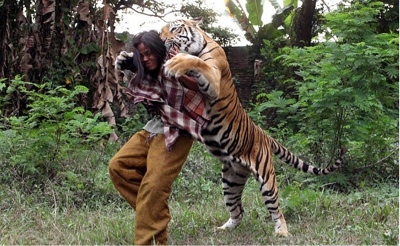 Ο άνθρωπος και η τίγρη - Φωτογραφία 1