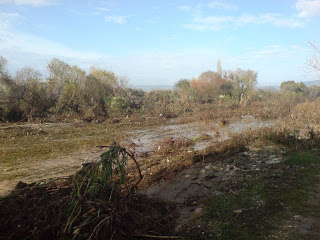 Φωτογραφίες από την καταστροφική πλημμύρα στην περιοχή Ευεργέτουλα Λέσβου - Φωτογραφία 13