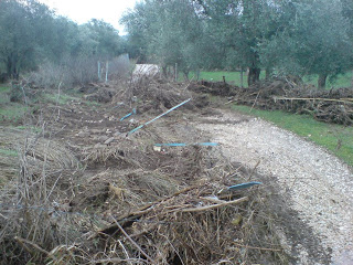 Φωτογραφίες από την καταστροφική πλημμύρα στην περιοχή Ευεργέτουλα Λέσβου - Φωτογραφία 2
