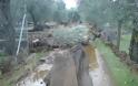 Φωτογραφίες από την καταστροφική πλημμύρα στην περιοχή Ευεργέτουλα Λέσβου - Φωτογραφία 10