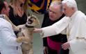 O Πάπας, το λιονταράκι και το τσίρκο! [video] - Φωτογραφία 4