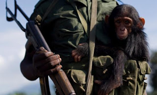 Ο στρατός του Κονγκό ανακατέλαβε την Γκόμα - Φωτογραφία 1