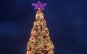 Το ψηλότερο χριστουγεννιάτικο δέντρο στο Ζάππειο!