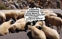 «Τρόικα είναι 4 λύκοι και 1 πρόβατο να ψηφίζουν για φαγητό»