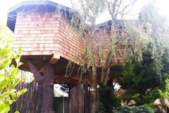 Οικογένεια μετακόμισε σε… δεντρόσπιτο!