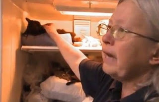 Αρρωστημένο: Έχει στο ψυγείο της 100 νεκρές γάτες! Φρικιαστικές εικόνες! - Φωτογραφία 1