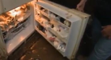 Αρρωστημένο: Έχει στο ψυγείο της 100 νεκρές γάτες! Φρικιαστικές εικόνες! - Φωτογραφία 4
