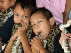 Απίστευτο και όμως αληθινό: Παιδιά βάζουν στο στόμα τους δηλητηριώδεις κόμπρες [video] - Φωτογραφία 1