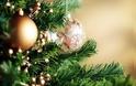 Έως και 2.311% οι αποκλίσεις στις τιμές των χριστουγεννιάτικων δέντρων