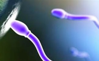 Έρευνα Γάλλων επιστημόνων βεβαιώνει ότι το ανδρικό σπέρμα είναι είδος προς εξαφάνιση... (Δεν χρειάζονται καταστροφές, πανδημίες ή πόλεμοι για να μειωθεί ο πληθυσμός) - Φωτογραφία 2