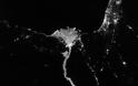 Η Γη τη νύχτα από ψηλά - Οι καθαρότερες δορυφορικές εικόνες [βίντεο] - Φωτογραφία 4