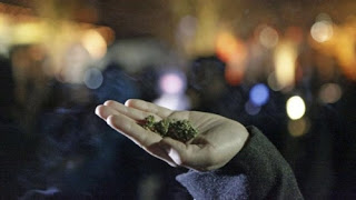 Νομιμοποιήθηκε η χρήση μαριχουάνας στην Ουάσιγκτον - Φωτογραφία 1