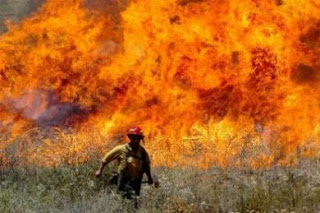 Αγριόχορτο-εμπρηστής προκαλεί μαζικές πυρκαγιές στις ΗΠΑ - Φωτογραφία 1