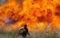Αγριόχορτο-εμπρηστής προκαλεί μαζικές πυρκαγιές στις ΗΠΑ