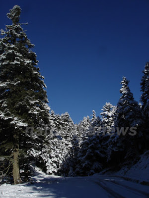 Στα λευκά η Ορεινή Ναυπακτία - Φωτογραφία 2