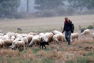 Ένα χωριό νέων κτηνοτρόφων στο Βρύσινα Ρεθύμνου - Φωτογραφία 1