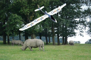 Αεροσκάφη της Google σώζουν ζώα υπό εξαφάνιση - Φωτογραφία 1