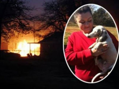 Ανάπηρο σκυλάκι έσωσε μια οικογένεια από τις φλόγες   Read more: http://www.newsbomb.gr/diethnh/story/260380/anapiro-skylaki-esose-mia-oikogeneia-apo-tis-floges#ixzz2EWZWmL4A - Φωτογραφία 1