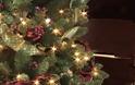 Τι συμβολίζουν τα χρώματα στις μπάλες του Χριστουγεννιάτικου δέντρου;