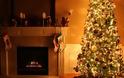 Τι να προσέξουμε στο Χριστουγεννιάτικο δέντρο μας