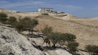 Το Ισραήλ χτίζει κατοικίες επειδή αρνείται να πεθάνει - Φωτογραφία 2