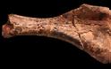 Βρέθηκε ο πιο παλιός δεινόσαυρος που έχει ανακαλυφθεί ποτέ - Φωτογραφία 2