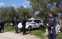 Συνελήφθησαν 4 άτομα στη Μεσσαρά για οπλοκατοχή, κλοπή αυτοκινήτου και ζωοκλοπή