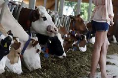 ΔΕΙΤΕ: Οι πιο αστείες φωτογραφίες που κυκλοφορούν στο ιντερνέτ!!