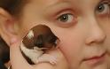 Το πιο μικρό κουτάβι στον κόσμο χωράει στην παλάμη σου - Φωτογραφία 3