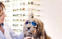 Εκκεντρικά γυαλιά ηλίου για… σκύλους! [φωτο] - Φωτογραφία 4