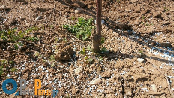 Βροντού – Άγ. Σπυρίδωνας: Κατέστρεψαν τις βάνες δημοτικής ύδρευσης αγρών [ΦΩΤΟ] - Φωτογραφία 8