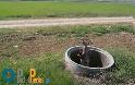 Βροντού – Άγ. Σπυρίδωνας: Κατέστρεψαν τις βάνες δημοτικής ύδρευσης αγρών [ΦΩΤΟ] - Φωτογραφία 4