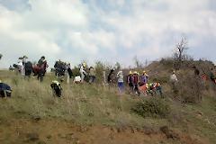 Αναδάσωση στην περιοχή των παλαιών αναδασώσεων Μακρυσίου