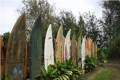 Παράξενοι αλλά όμορφοι φράχτες