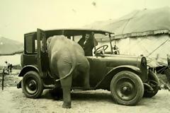 ΔΕΙΤΕ: Ανεξήγητες ασπρόμαυρες φωτογραφίες!!