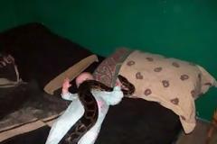 ΔΕΙΤΕ: Σοκαριστικές εικόνες με παιδιά και επικίνδυνα ζώα!!!