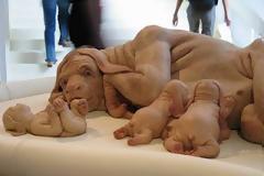 Η φύση κάποιες φορές κάνει τραγικά λάθη''! (pics)