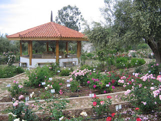 Ροδόκηπος με 700 είδη τριανταφυλλιάς στο Κέντρο Ελληνισμού Ιδρύματος Δαμιανού στο Σχίνο Λουτρακίου - Φωτογραφία 1