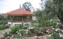 Ροδόκηπος με 700 είδη τριανταφυλλιάς στο Κέντρο Ελληνισμού Ιδρύματος Δαμιανού στο Σχίνο Λουτρακίου - Φωτογραφία 1