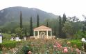Ροδόκηπος με 700 είδη τριανταφυλλιάς στο Κέντρο Ελληνισμού Ιδρύματος Δαμιανού στο Σχίνο Λουτρακίου - Φωτογραφία 2