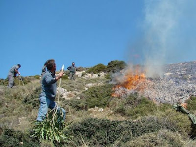 600 στρέμματα κάηκαν στην Σκύρο! - Φωτογραφία 2