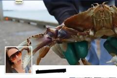 27 φανταστικά εξώφυλλα για το timeline του Facebook (pics)