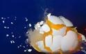 VIDEO: Αβγά και πορσελάνες σπάνε σε αργή κίνηση!