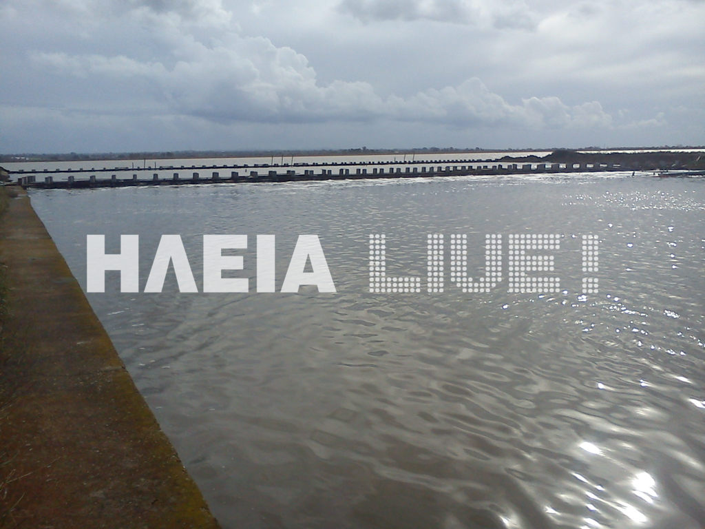 Λεχαινά: Στα όρια της η λιμνοθάλασσα στο Κοτύχι - Φωτογραφία 4