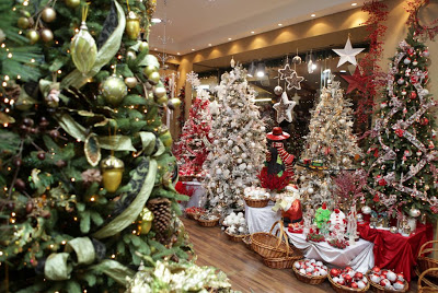 Διαφορές έως και 2.300% στις τιμές των χριστουγεννιάτικων δέντρων - Φωτογραφία 1